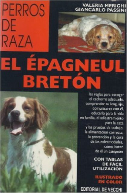 EL EPAGNEUL BRETON - PERROS DE RAZA 