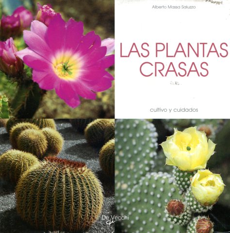 LAS PLANTAS CRASAS . CULTIVO Y CUIDADOS