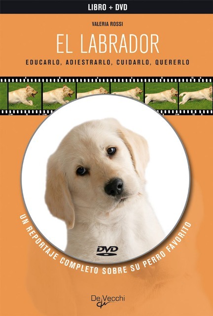 LABRADOR L + DVD . EDUCARLO , ADIESTRARLO , CUIDARLO , QUERERLO